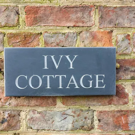 Ivy Тирск